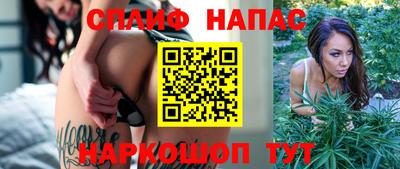 PSILOCYBIN Можга