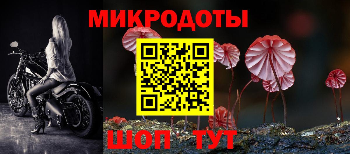 Галлюциногенные грибы мицелий Усть-Джегута